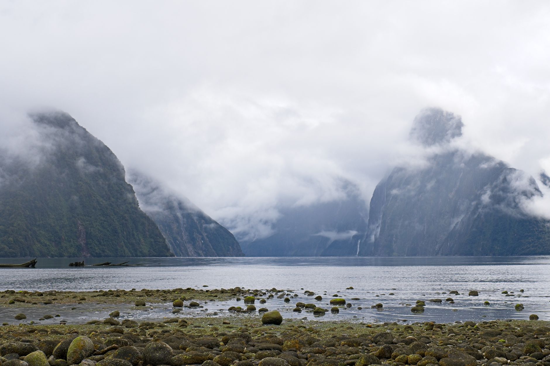 Fiordland National Park misty fjord